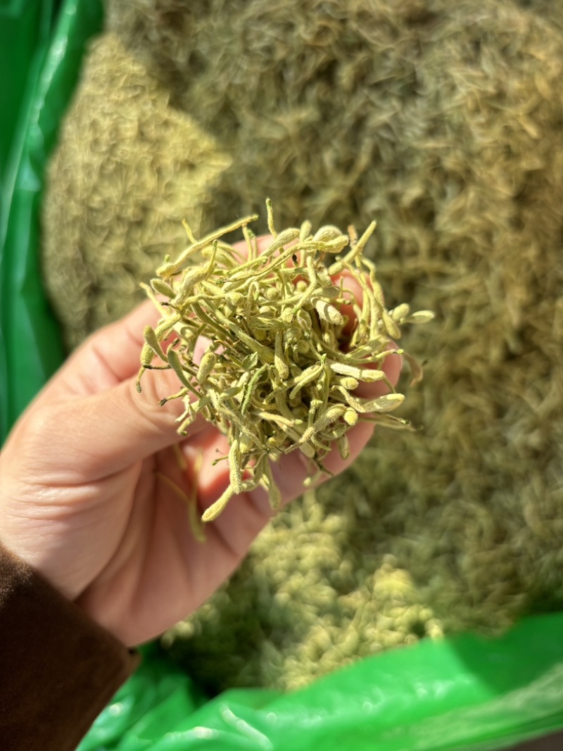 金银花源头好货产地直发量大从优质量保证货真价实假一赔十