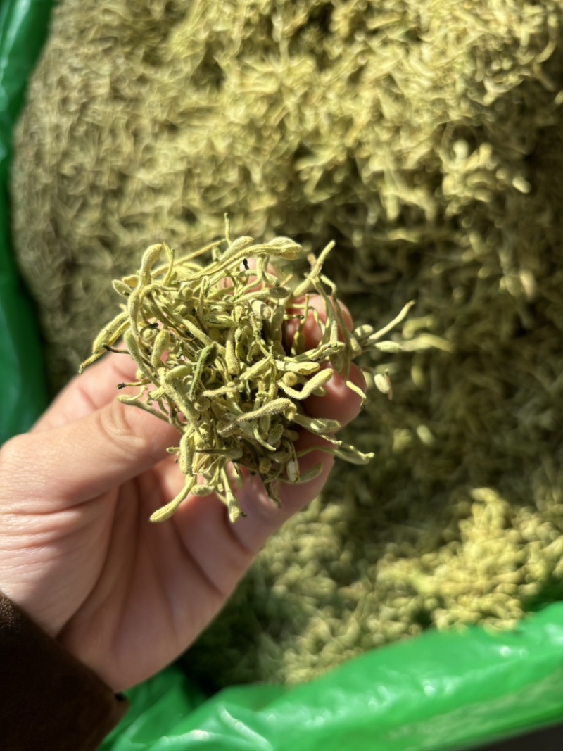 金银花源头好货产地直发量大从优质量保证货真价实假一赔十