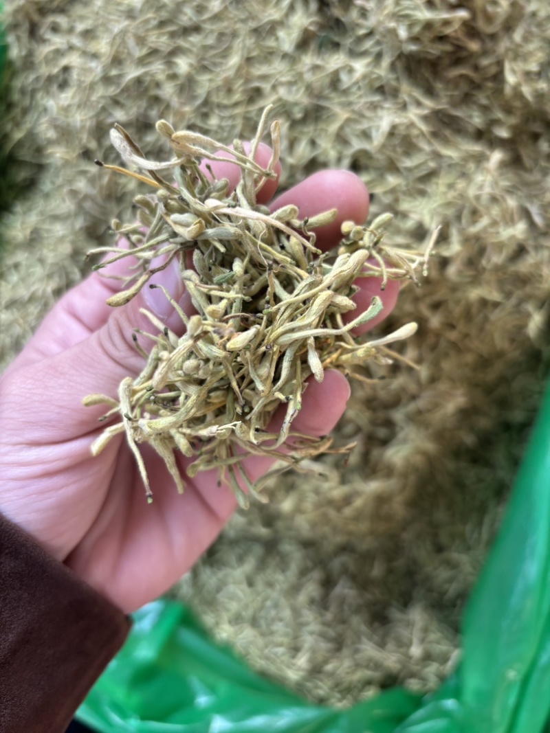 金银花源头好货产地直发量大从优质量保证货真价实假一赔十