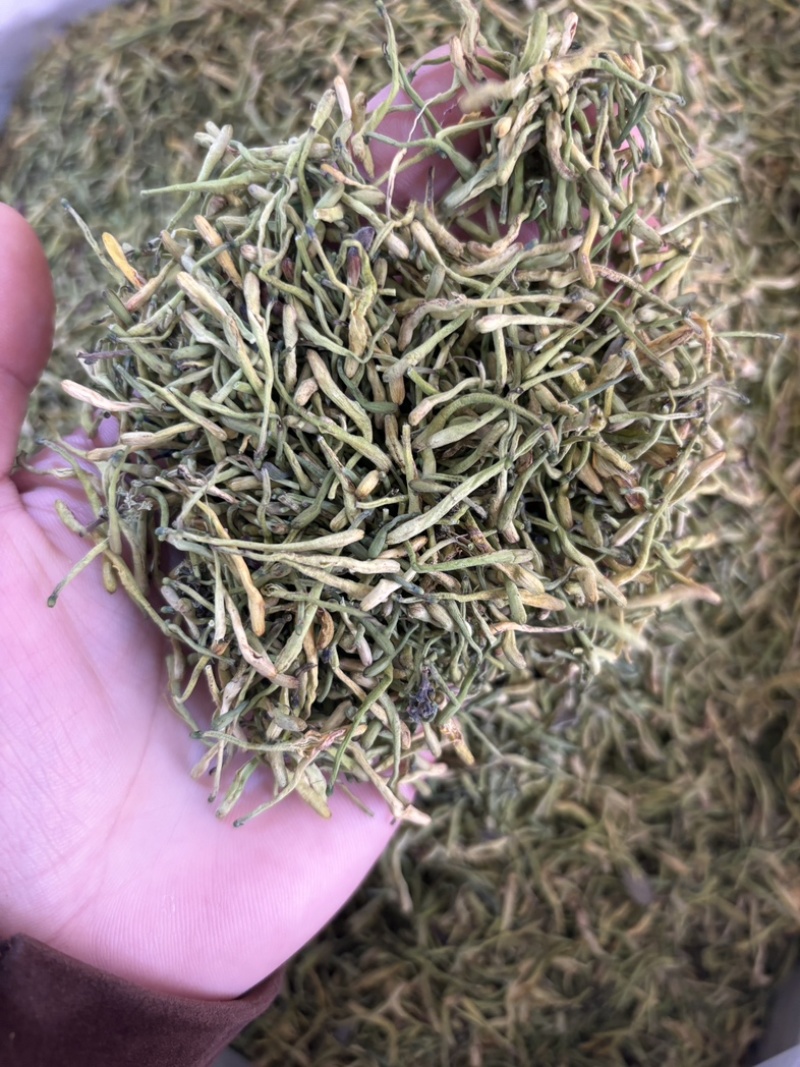 金银花源头好货产地直发量大从优质量保证货真价实假一赔十