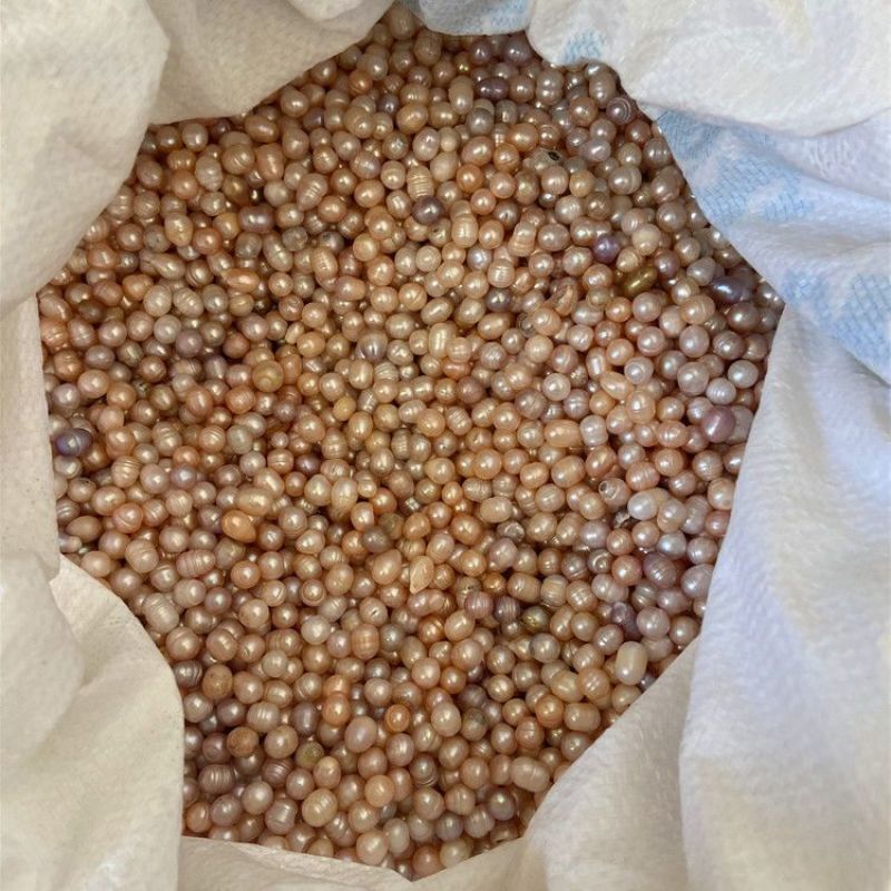 珍珠正品珍珠质量保证假一罚十规格齐全可打粉