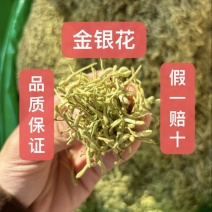 金银花源头好货产地直发量大从优质量保证货真价实