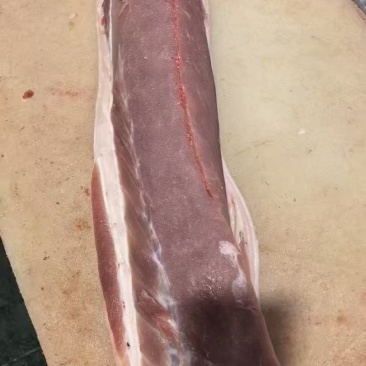 肥猪带皮带膘三号