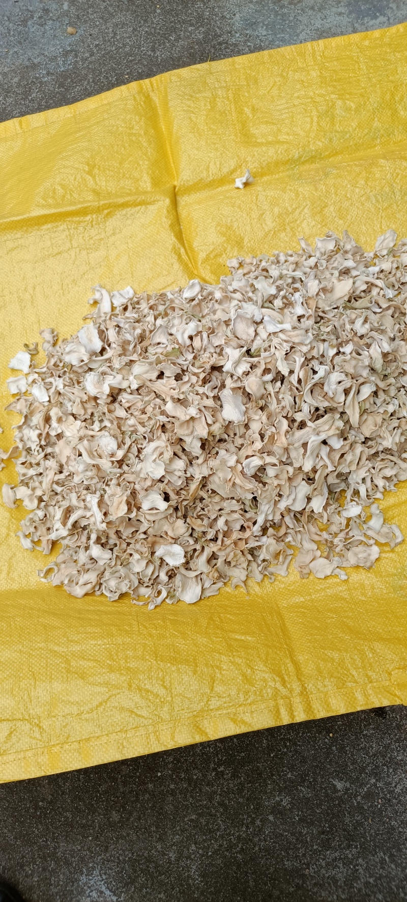 芥菜心干，全干，保质保量，精排细选，