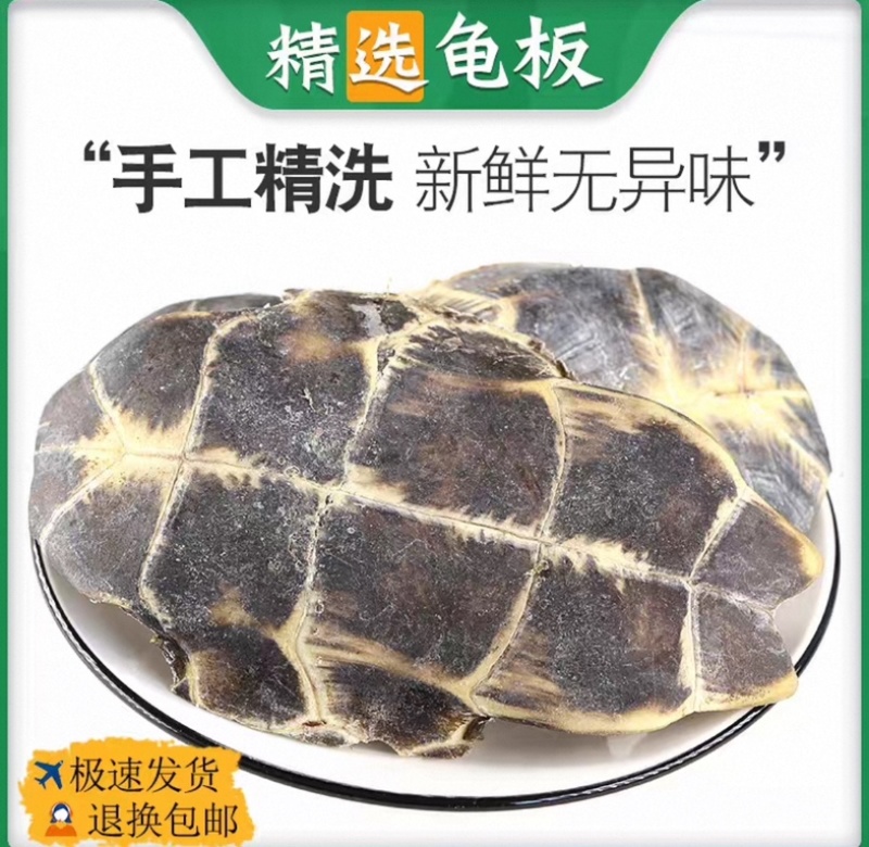 龟板源头好货产地直发好龟板品质保证量大从优