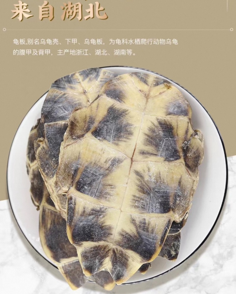 龟板源头好货产地直发好龟板品质保证量大从优