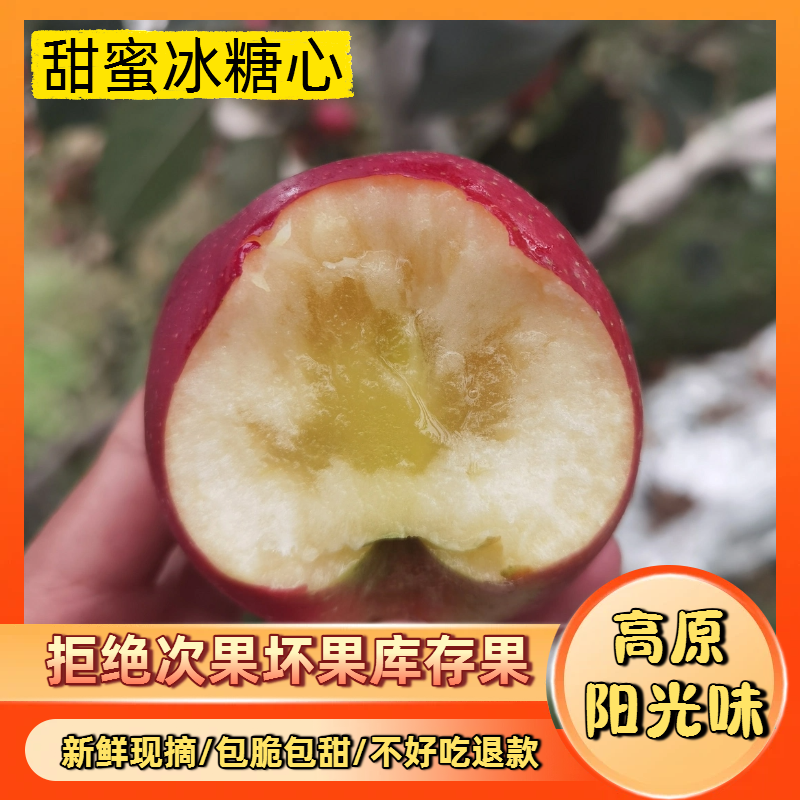正宗昭通冰糖心丑苹果晚熟富士苹果礼盒装一件代发