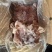 熟羊脸量大优惠羊头肉