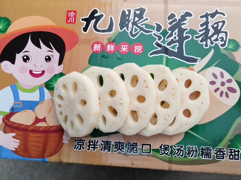 莲藕3735白莲藕陕西万亩基地量大从优可对接全国电商店