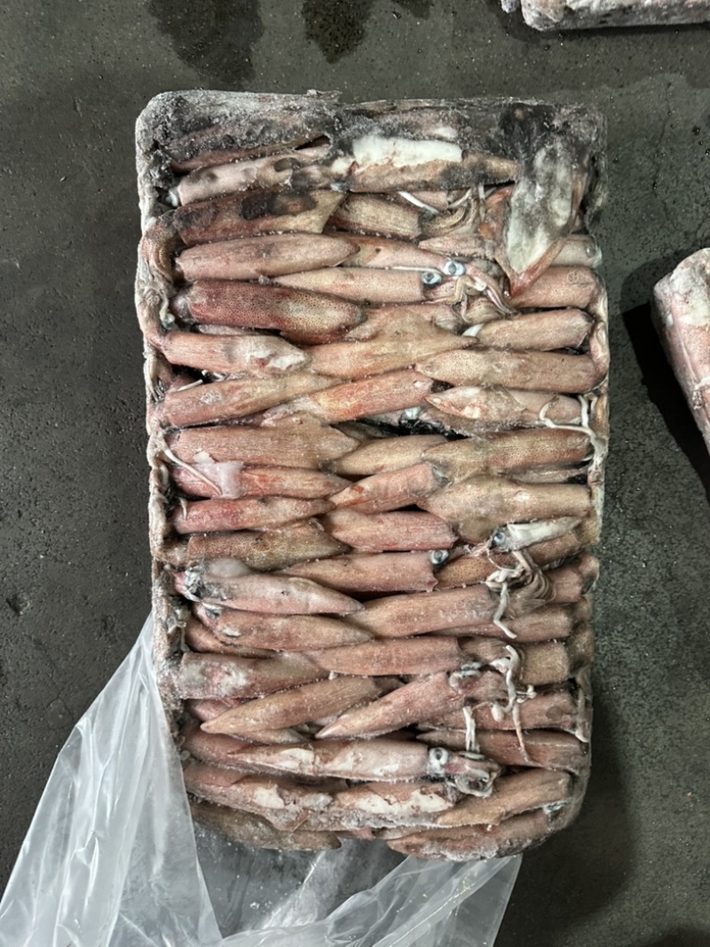 鱿鱼东山小管6号半