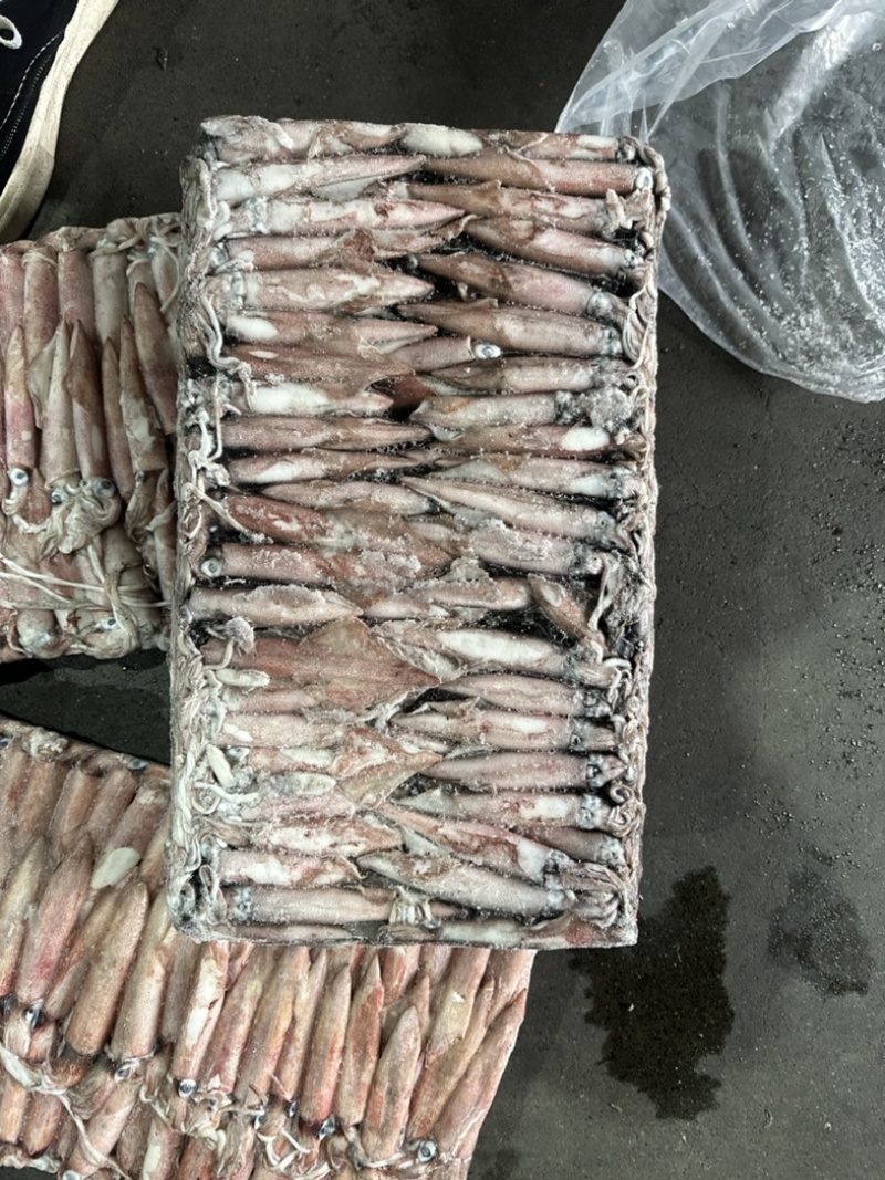 鱿鱼东山小管6号半