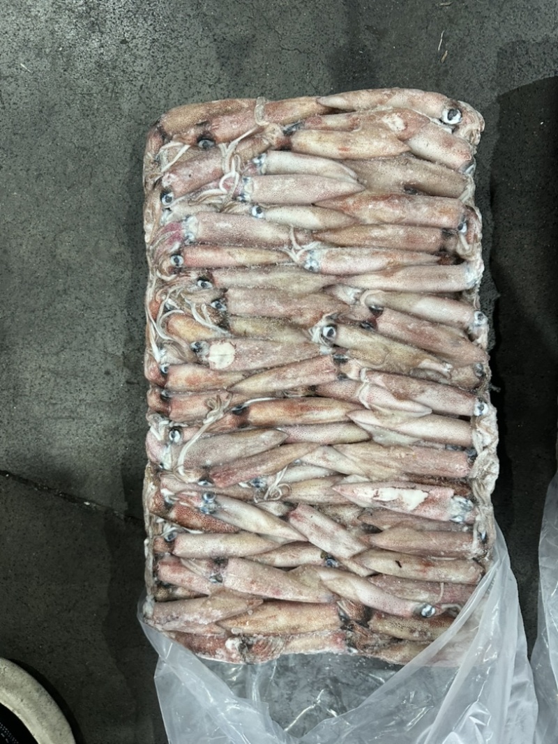 鱿鱼东山小管6号半
