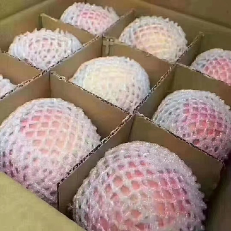 陕西苹果
