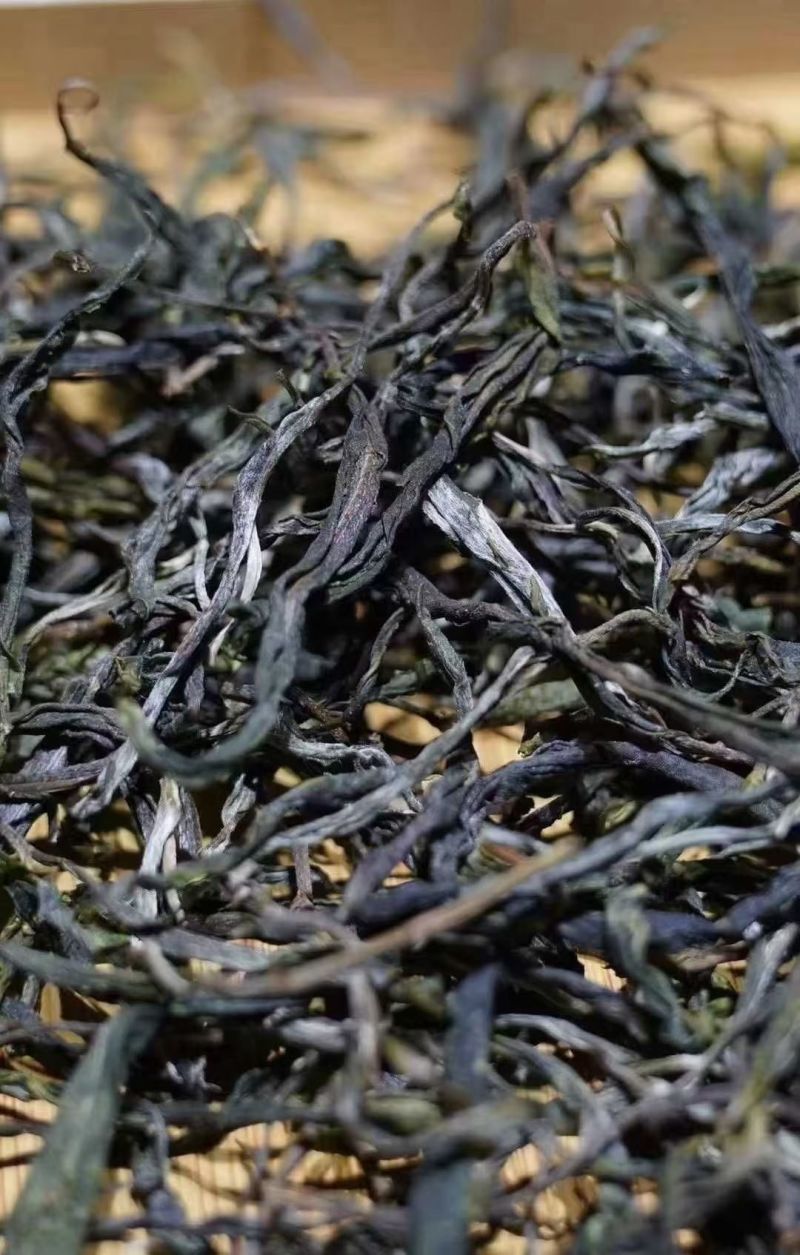 普洱古树散茶