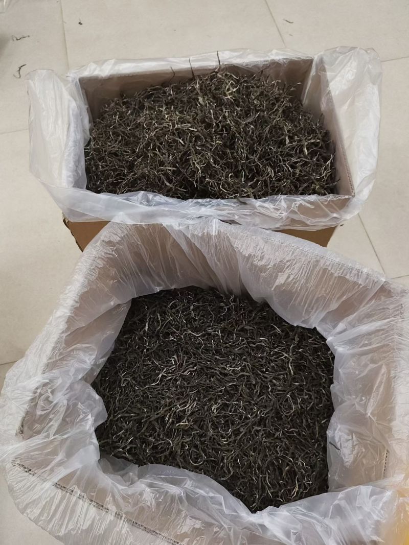 普洱古树散茶