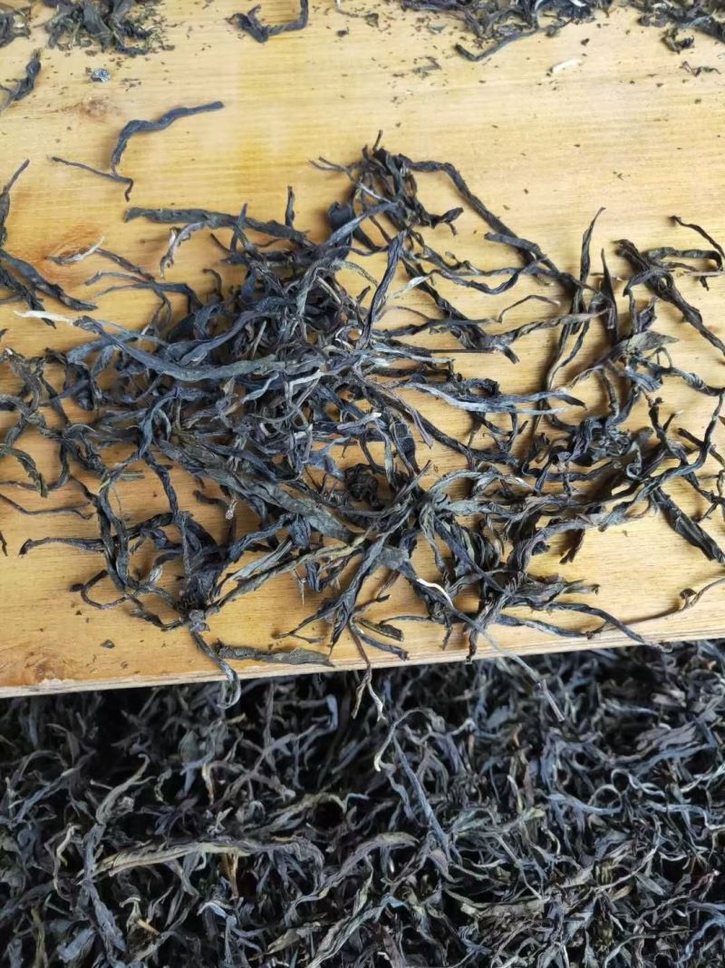 普洱古树散茶