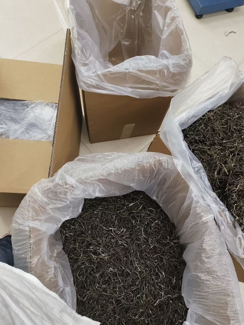 普洱古树散茶
