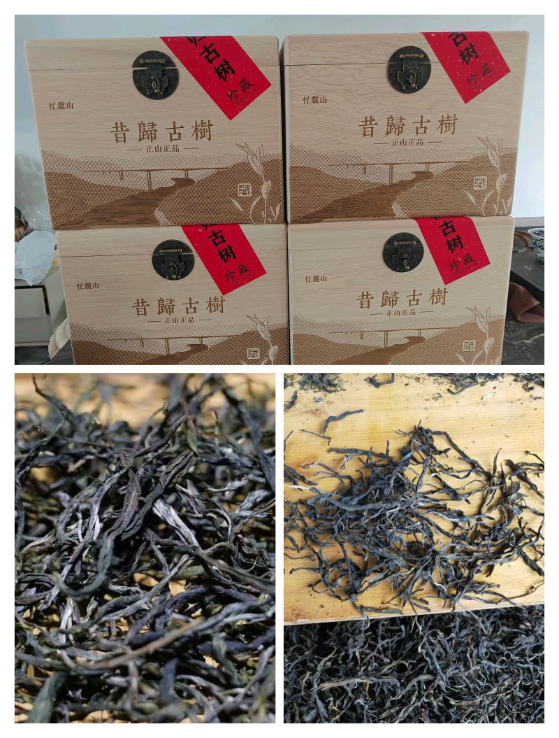 普洱古树散茶
