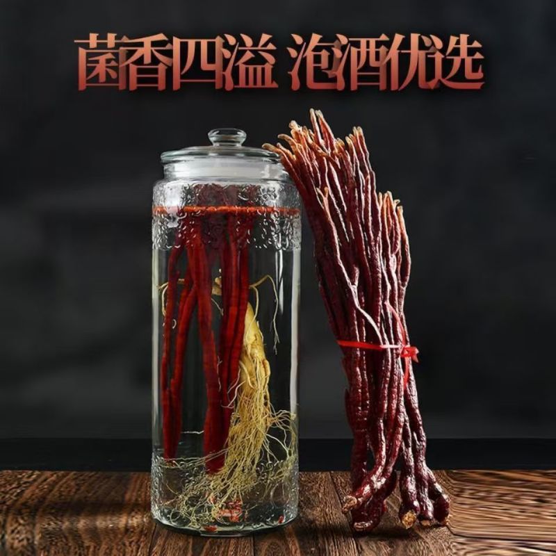 灵芝草灵芝包邮质量保证诚信经营量大从优