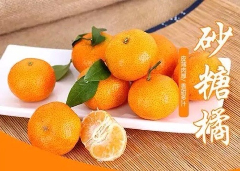 砂糖橘供应电商团购，渠道，商超，快递一件代发，品质保证