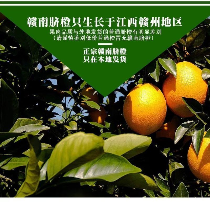 赣南脐橙，整车走，零批，代办，一件代发。