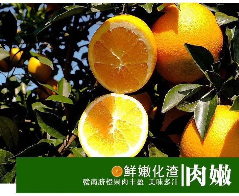 赣南脐橙，整车走，零批，代办，一件代发。