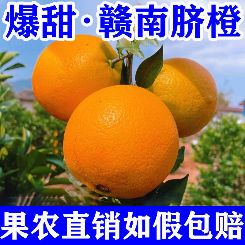 赣南脐橙，整车走，零批，代办，一件代发。