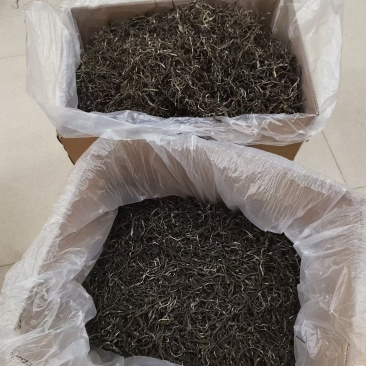普洱古树散茶
