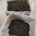 普洱古树散茶