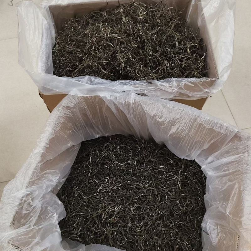 普洱古树散茶