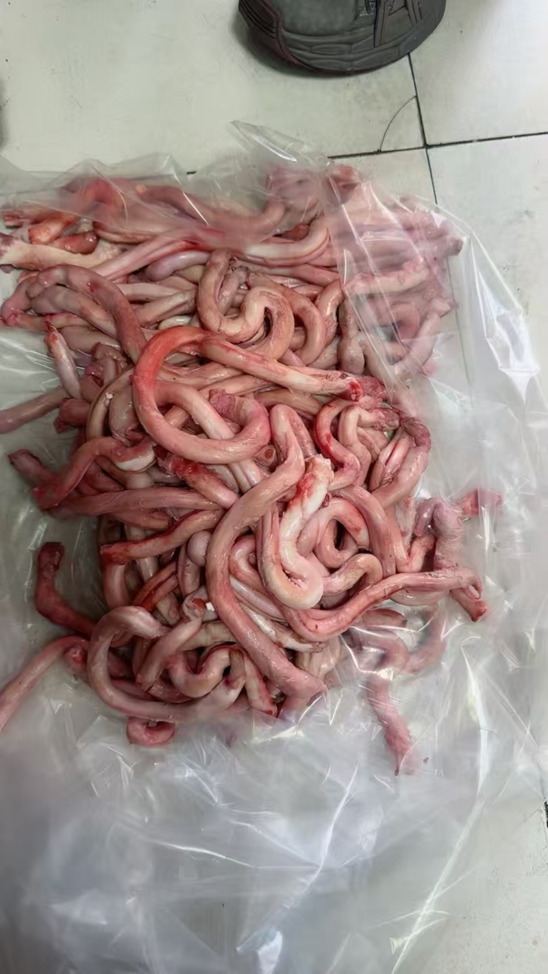 山羊鞭