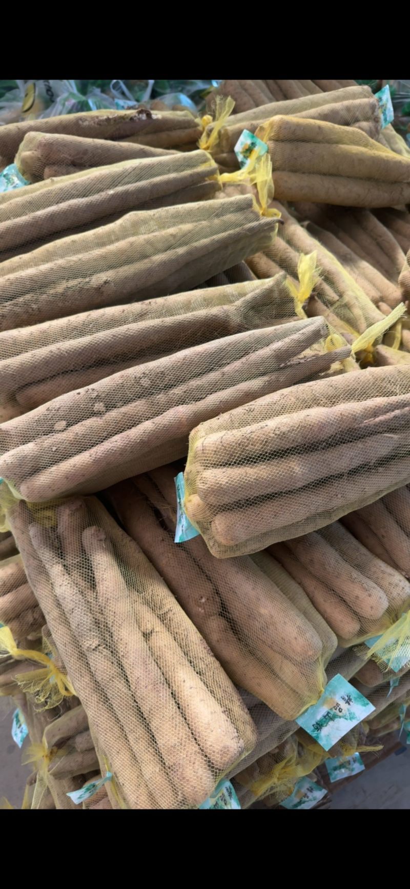 今天新到山药价格很低，需要要的联系我
