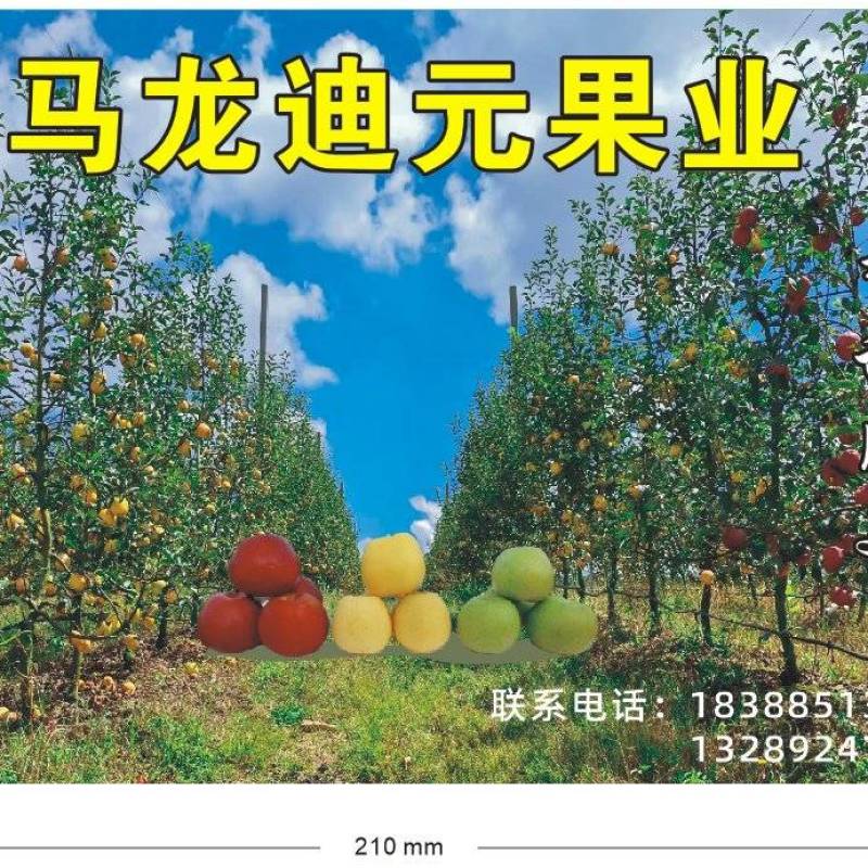 马龙迪元果业