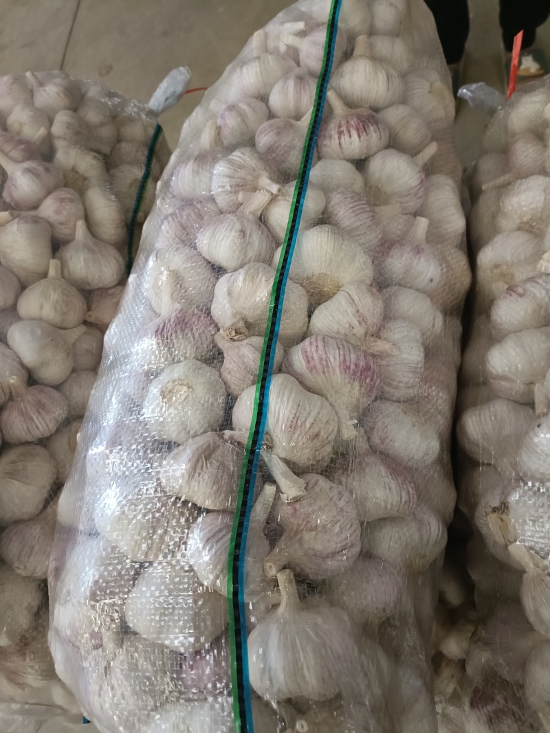 原皮加工5.0--5.5---6.0--6.5