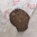 红糖废料