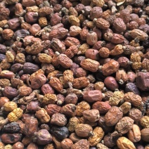 红豆蔻豆蔻批发各种规格中药材质量保证量大从优