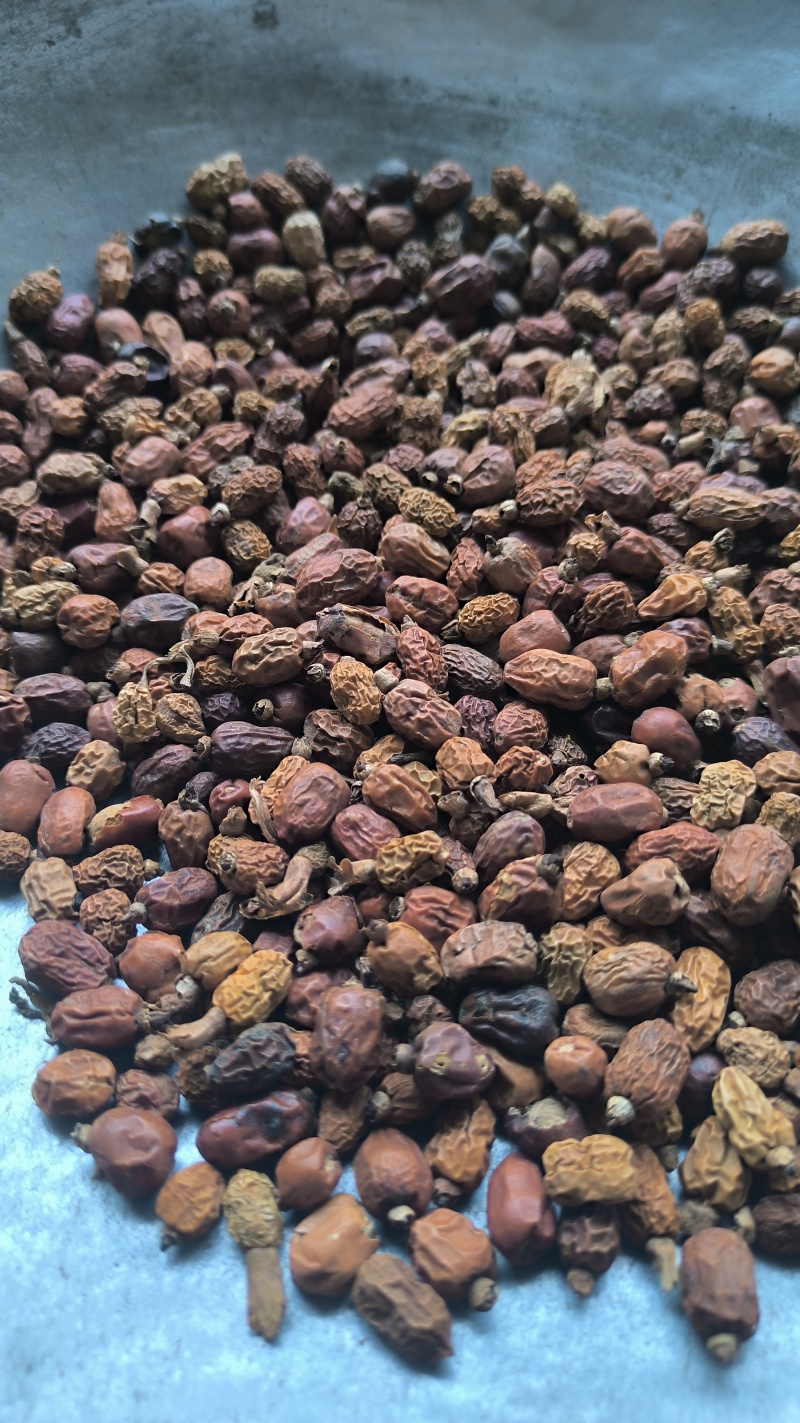 红豆蔻豆蔻批发各种规格中药材质量保证量大从优