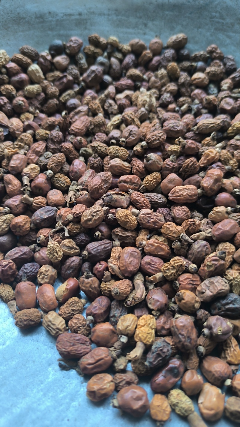 红豆蔻豆蔻批发各种规格中药材质量保证量大从优