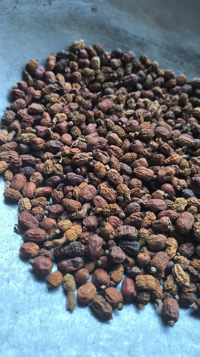 红豆蔻豆蔻批发各种规格中药材质量保证量大从优