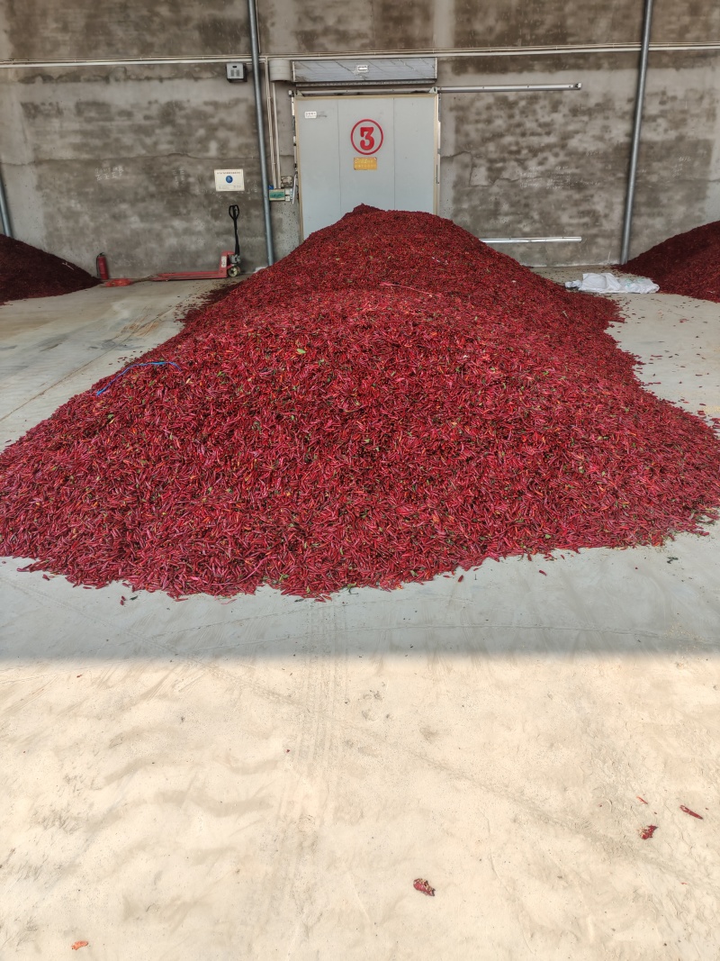 干辣椒4吨出售