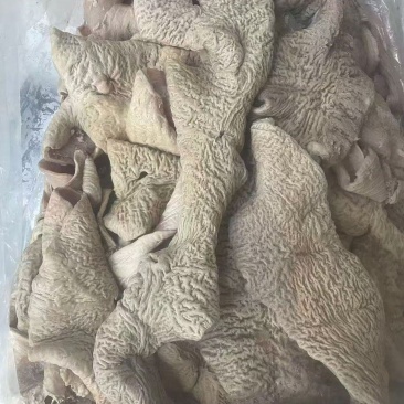 牛大肠