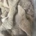 牛大肠