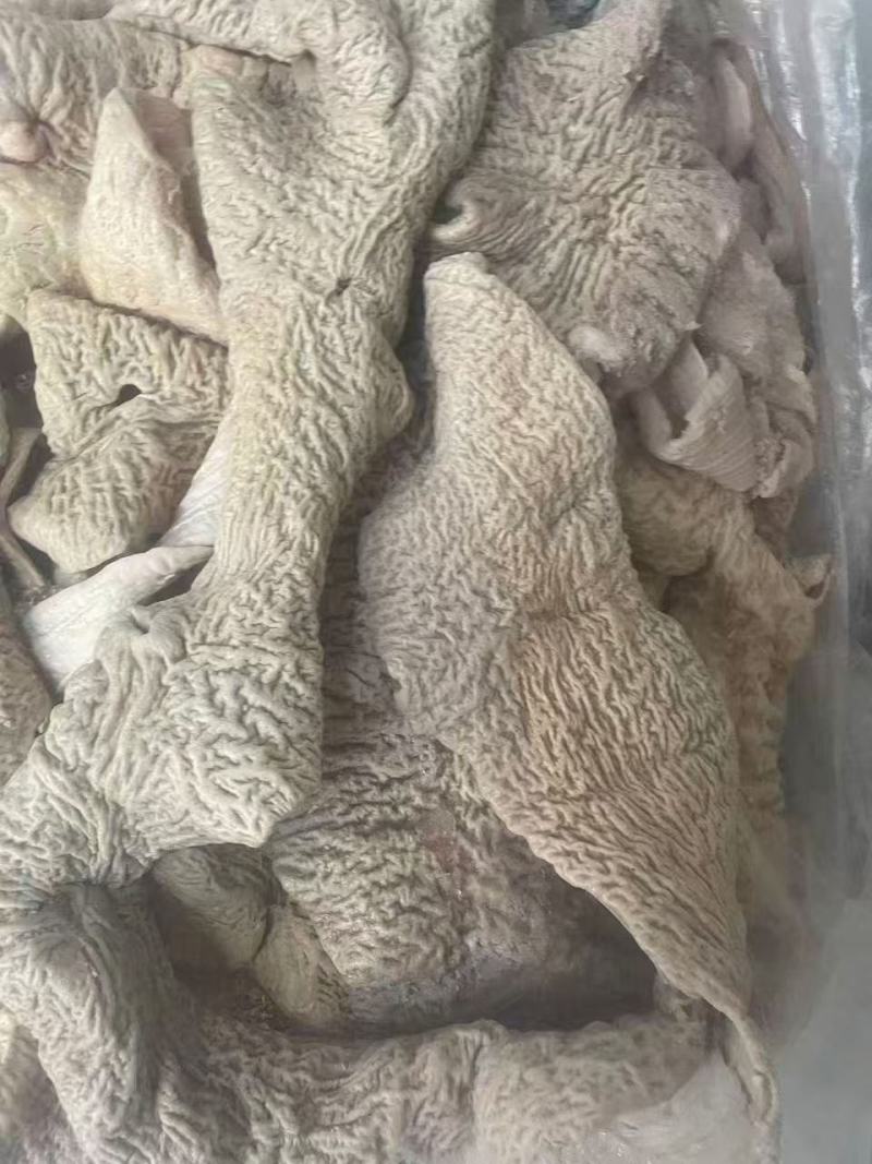 牛大肠