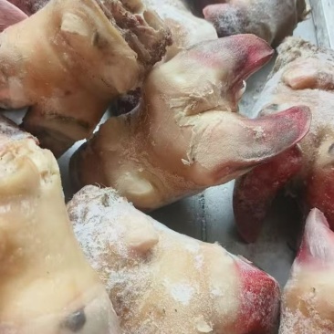 牛蹄掌
