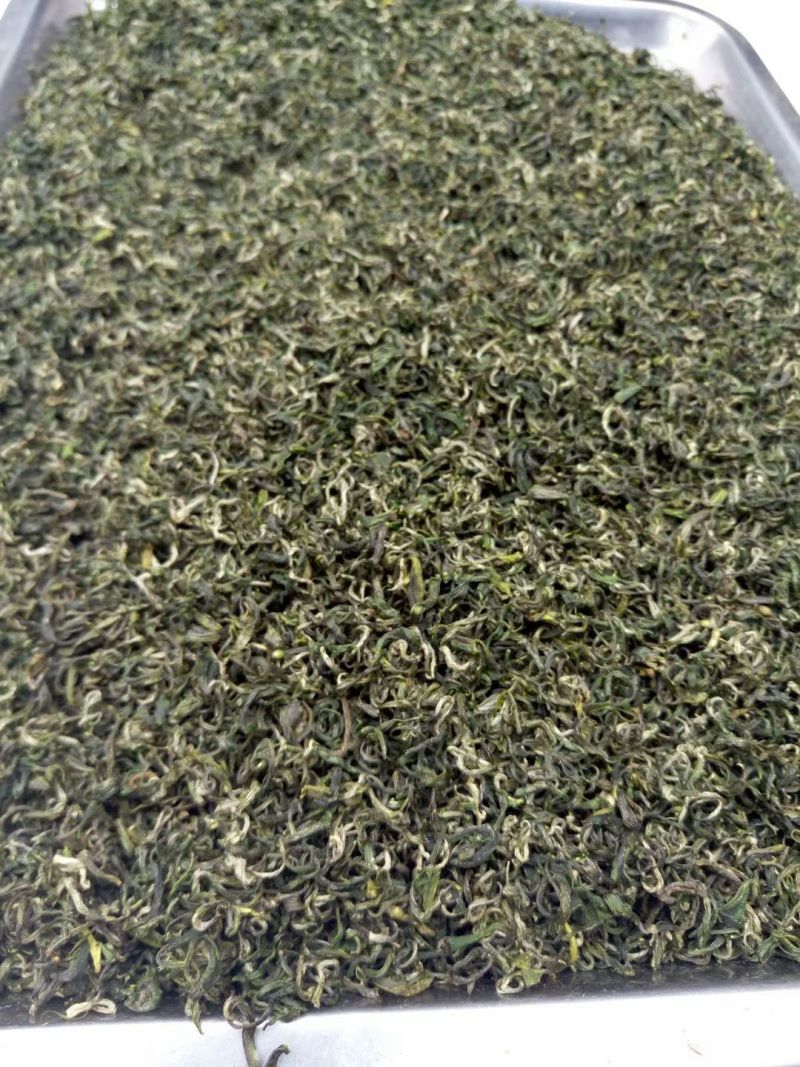 贵州绿茶明前毛峰