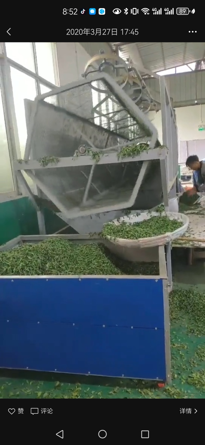 贵州绿茶明前毛峰