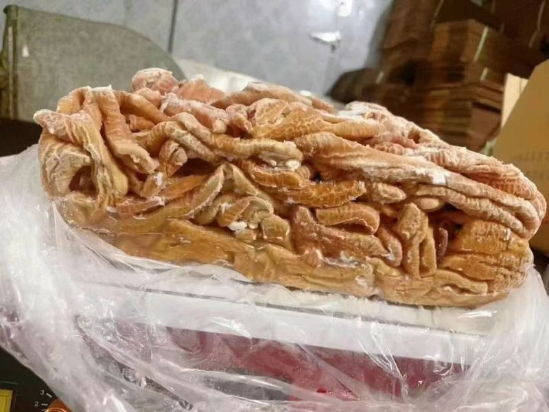 牛小肠