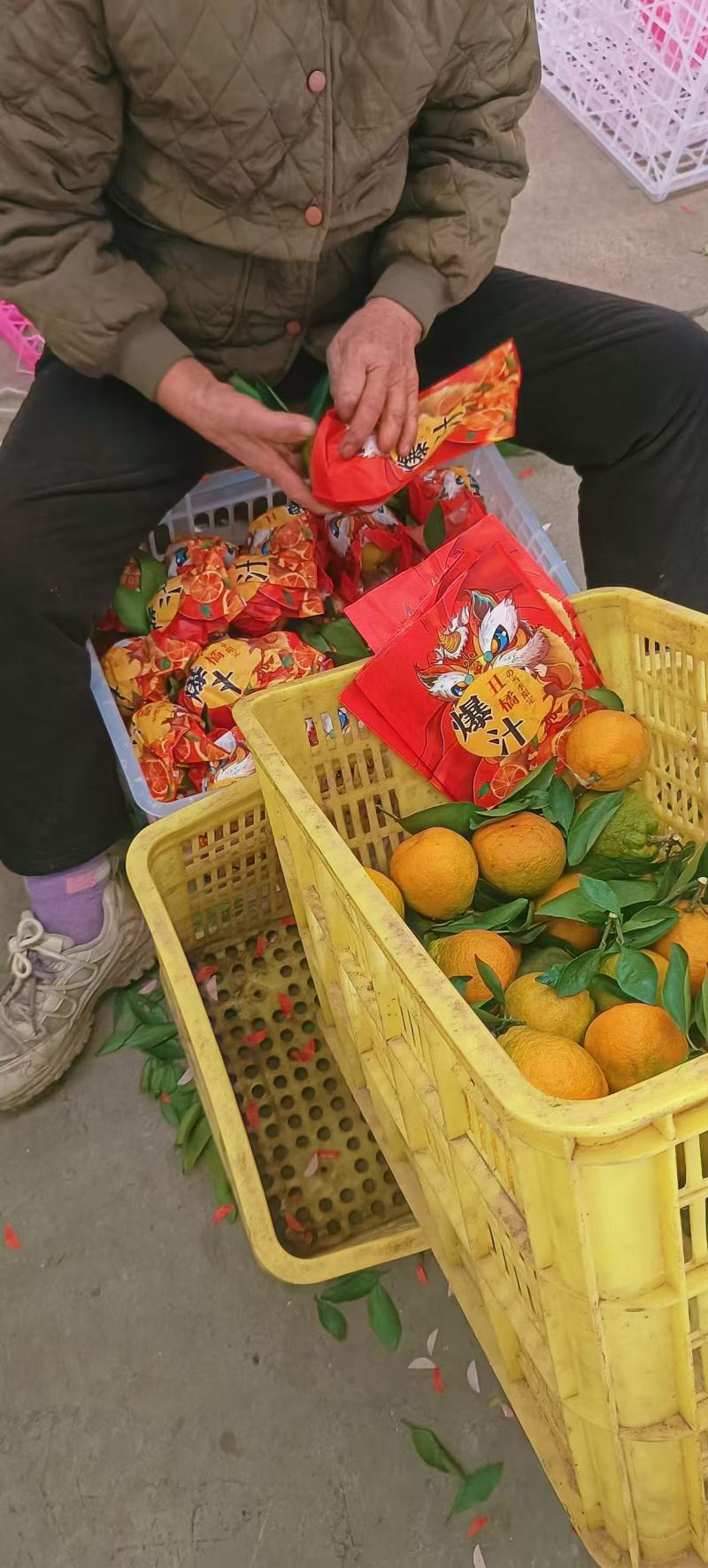 湖北精品丑橘不知火耙耙柑大量有货口感纯甜诚信代办质量保证