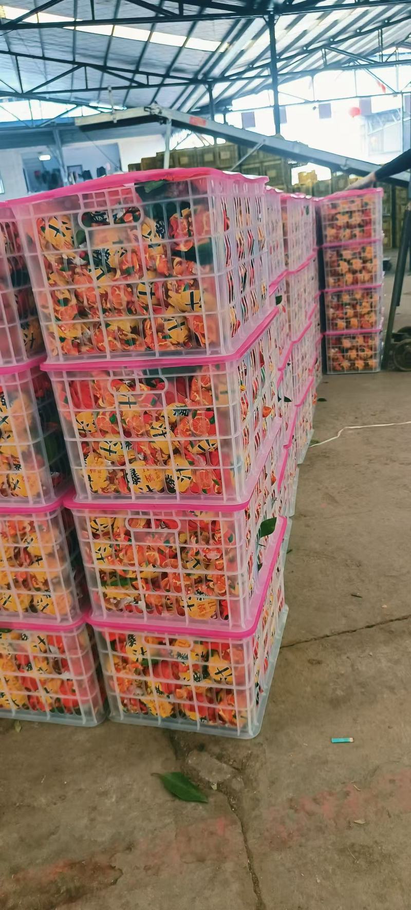 湖北精品丑橘不知火耙耙柑大量有货口感纯甜诚信代办质量保证