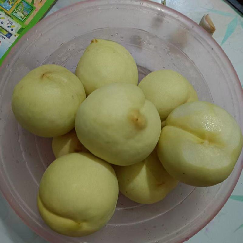 冬桃/河南驻马店汝南县冬桃种植基地大量上市/对接全国采购